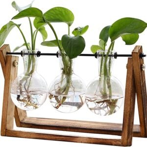 Plant Terrarium with Stand